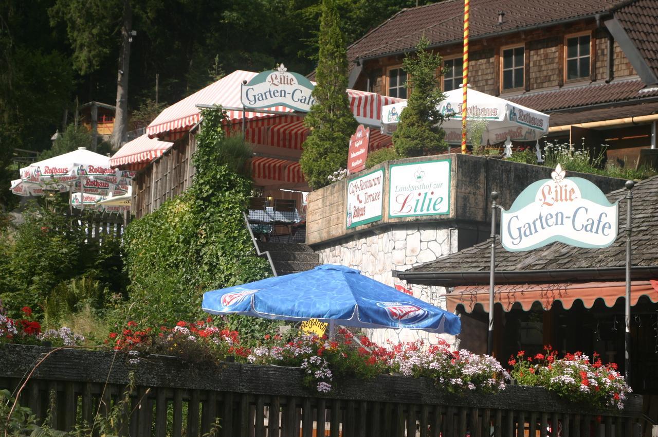 Gaestehaus Zur Lilie Triberg im Schwarzwald Exteriér fotografie