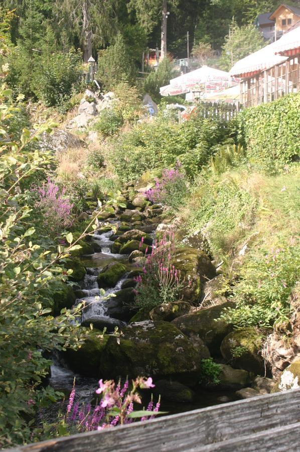 Hotel Gastehaus Zur Lilie Triberg im Schwarzwald Exteriér fotografie